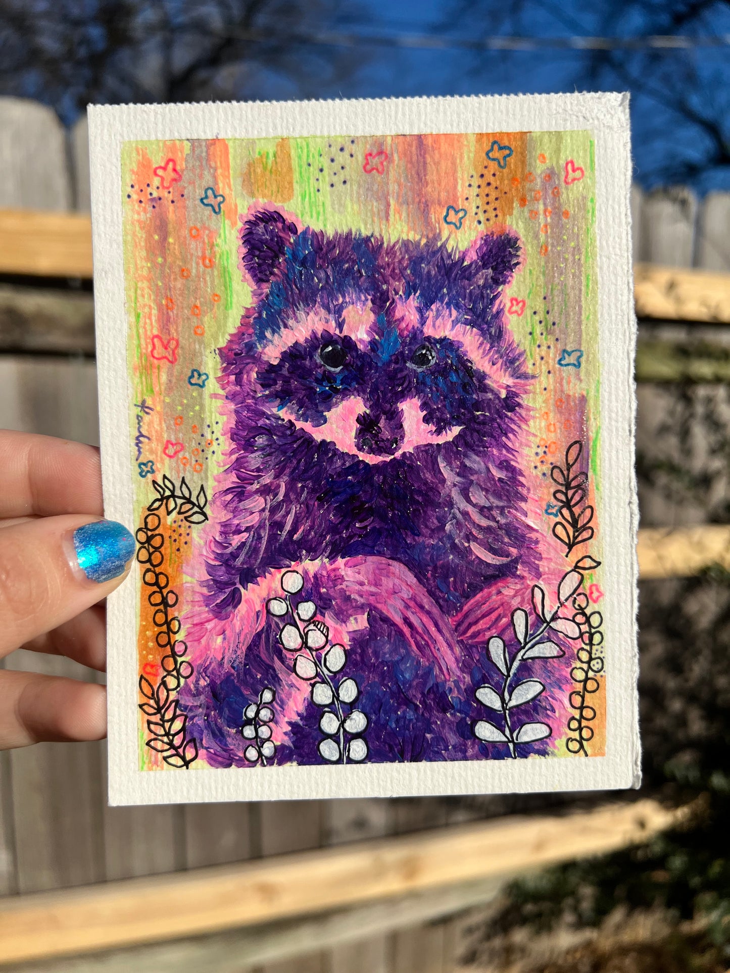 Floridian Raccoon