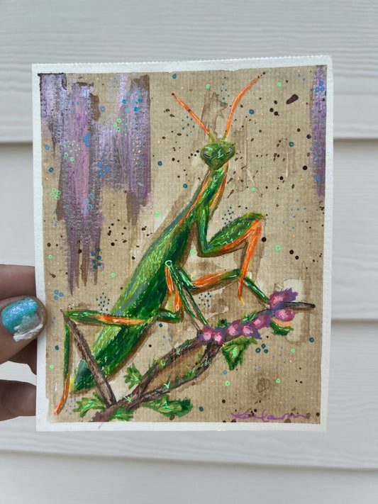 Praying Mantis